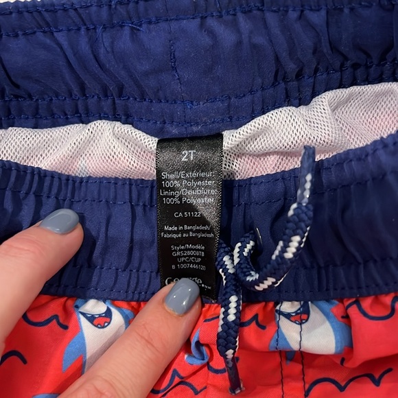 Bathing Suit - 2T - Picture 3 of 3